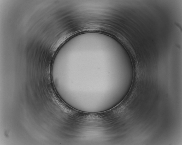 X0000103400842200809261617