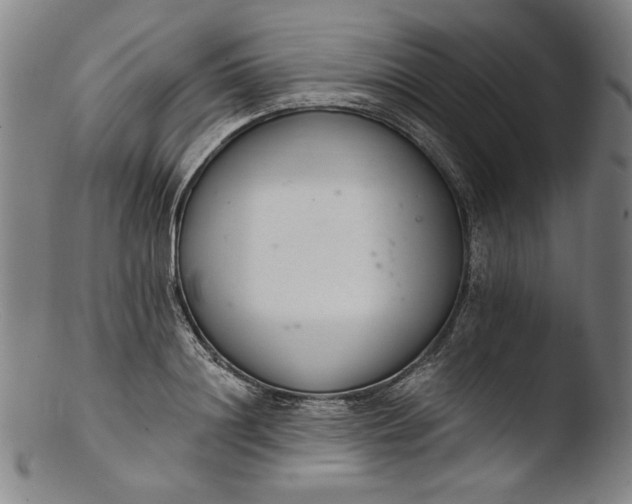 X0000103400844200809261617