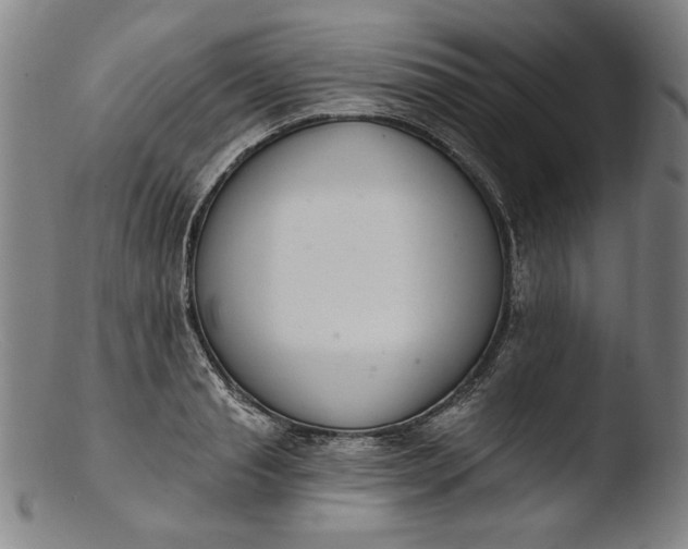 X0000103400845200809261617