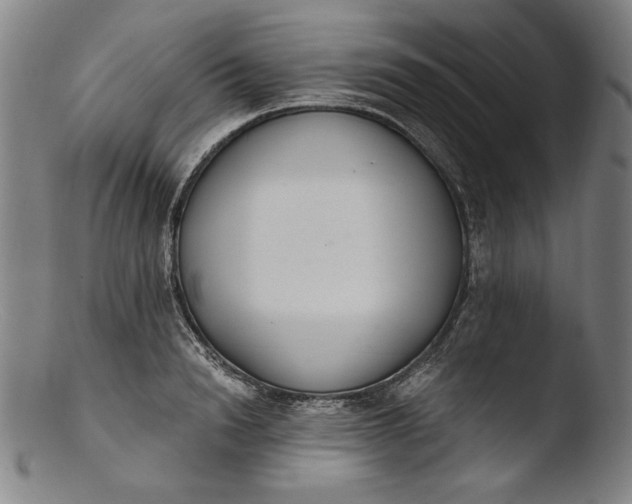 X0000103400846200809261617