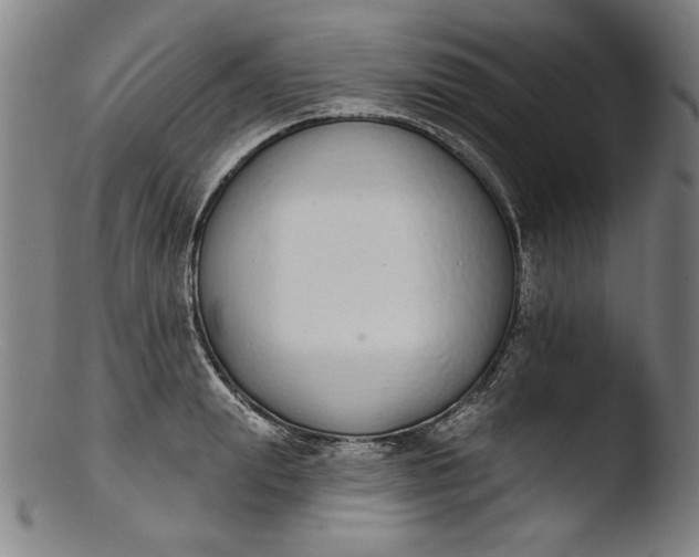 X0000103400847200809261618