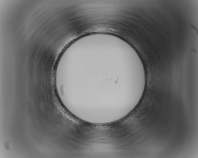 X0000103400848200809261618