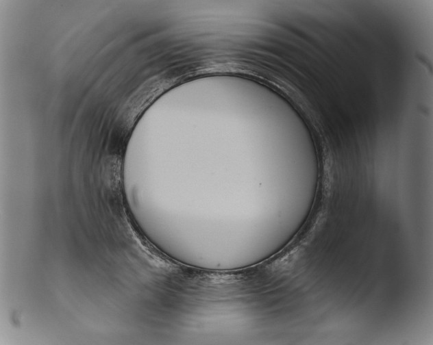 X0000103400849200809261618