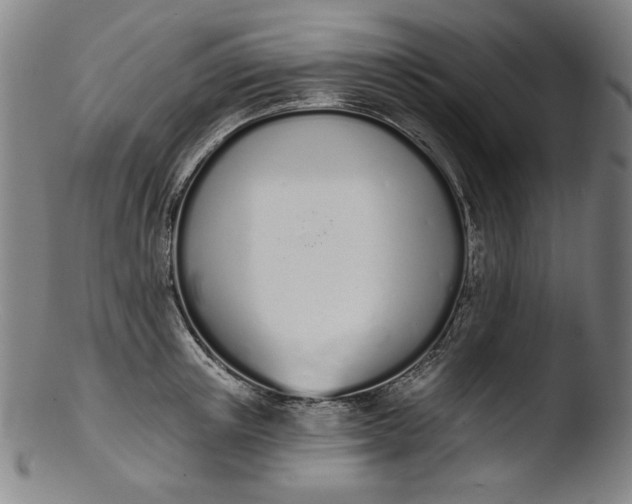 X0000103400851200809261618