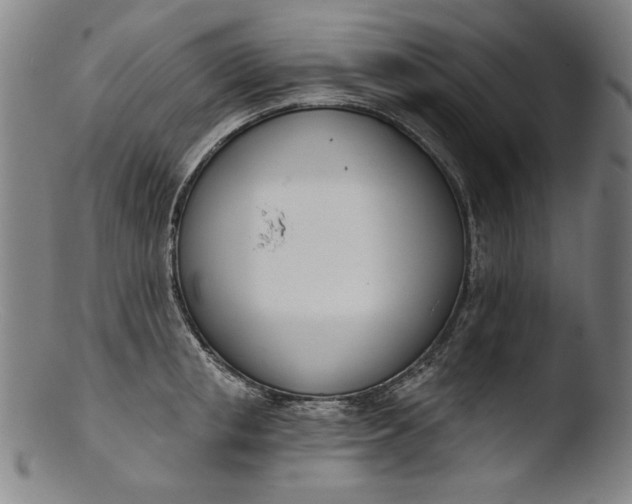 X0000103400853200809261618