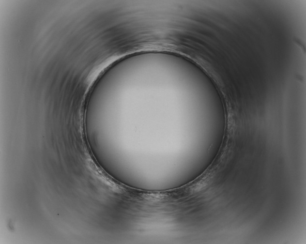 X0000103400854200809261618