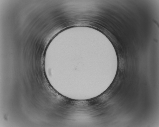 X0000103400856200809261618