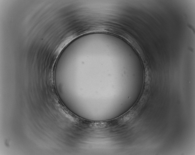 X0000103400858200809261618