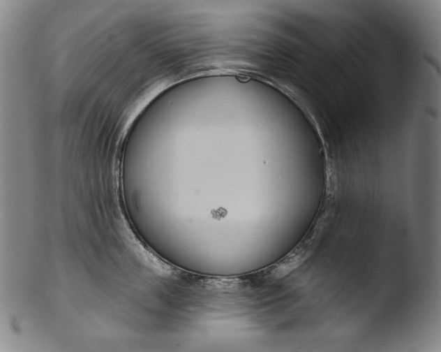 X0000103400859200809261618