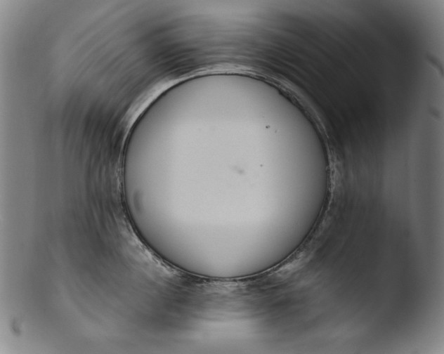 X0000103400860200809261618