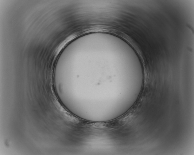 X0000103400861200809261618