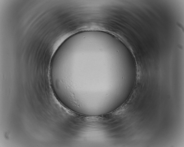 X0000103400863200809261618