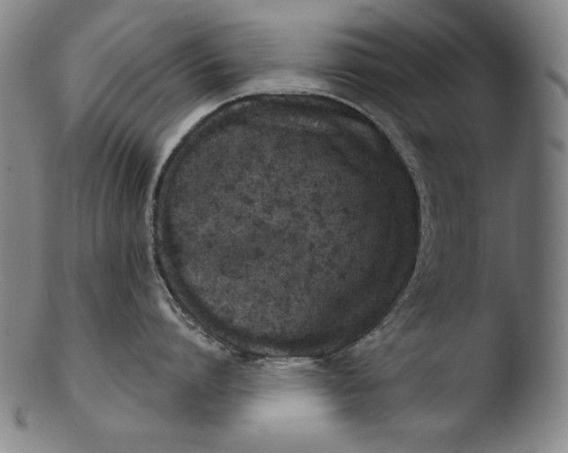 X0000103400864200809261618