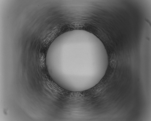 X0000103400866200809261617