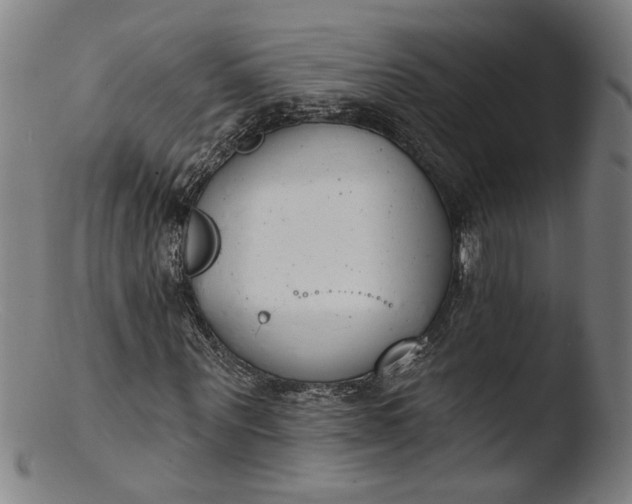 X0000103400867200809261617