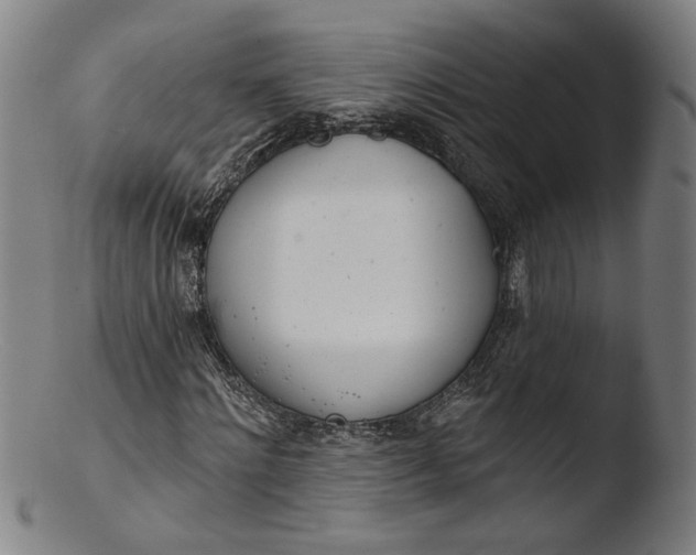 X0000103400868200809261617