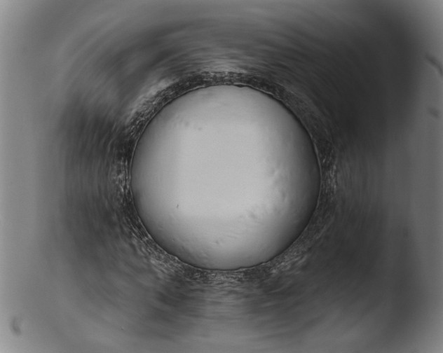 X0000103400870200809261617