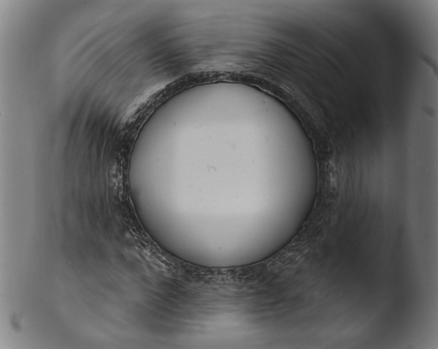 X0000103400872200809261617