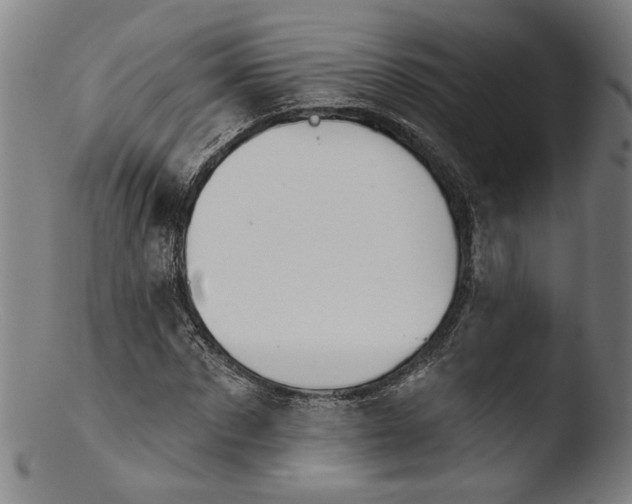 X0000103400873200809261617