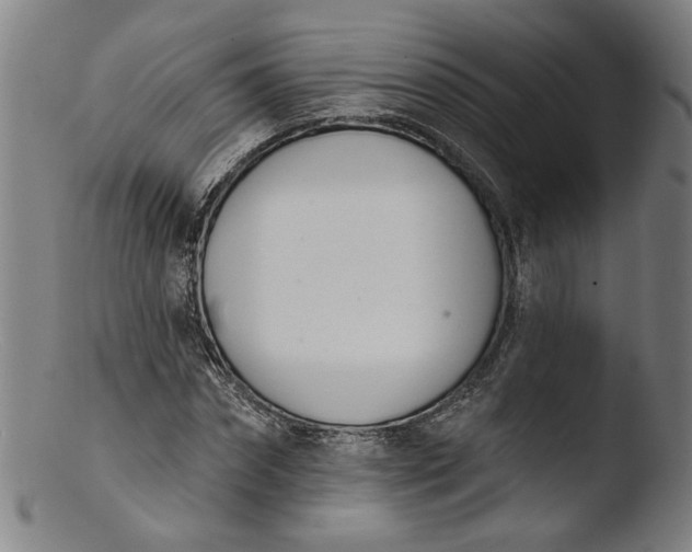 X0000103400874200809261617