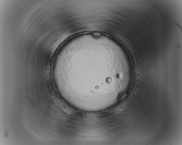 X0000103400875200809261617