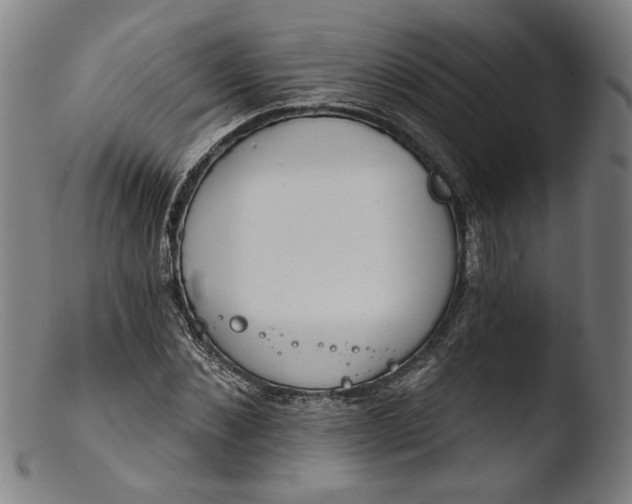 X0000103400876200809261617