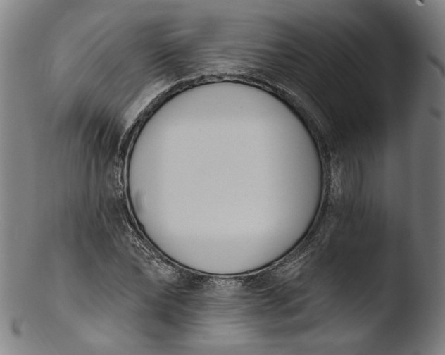 X0000103400878200809261617