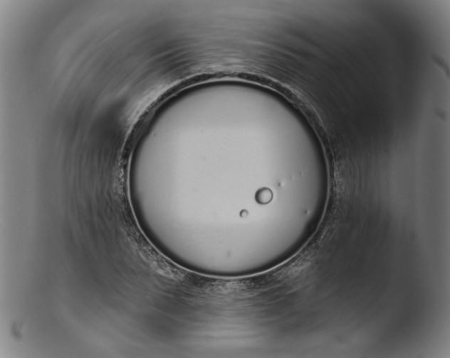 X0000103400879200809261617