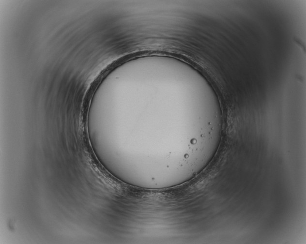 X0000103400880200809261617