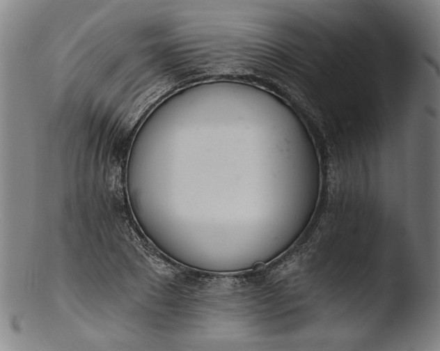 X0000103400881200809261617