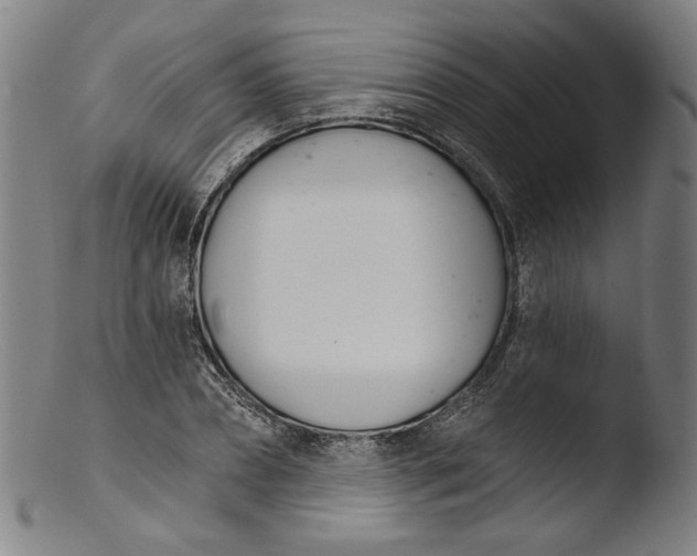 X0000103400882200809261617