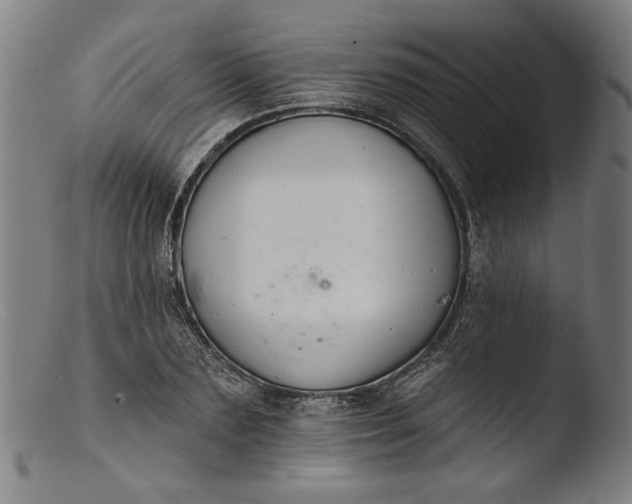 X0000103400883200809261617