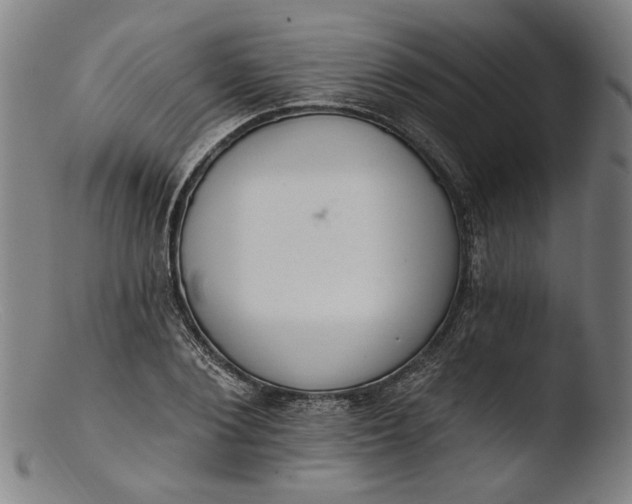 X0000103400884200809261617