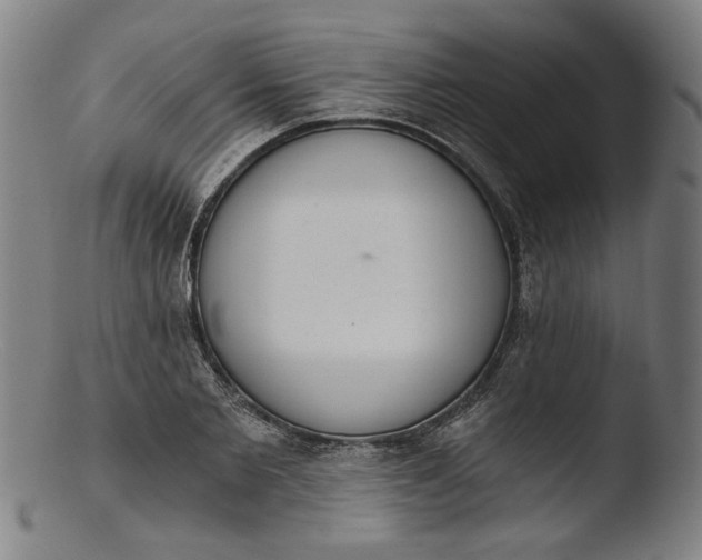 X0000103400885200809261617