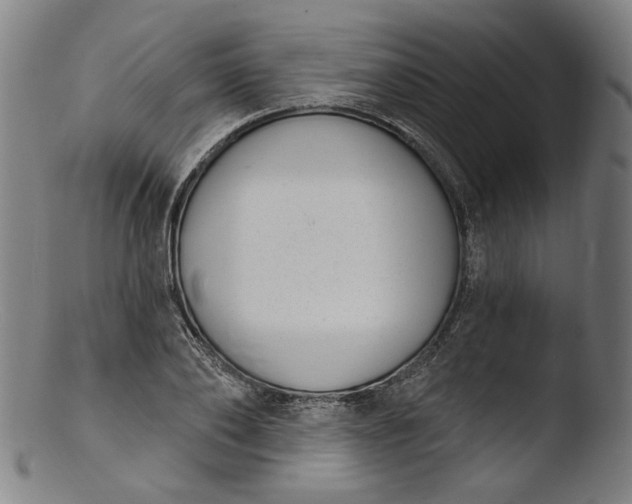 X0000103400886200809261617