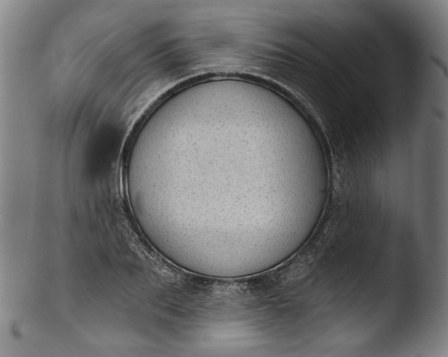 X0000103400887200809261617