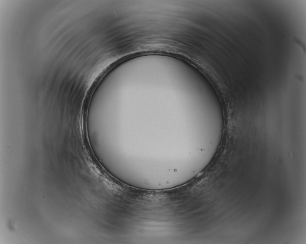 X0000103400888200809261617