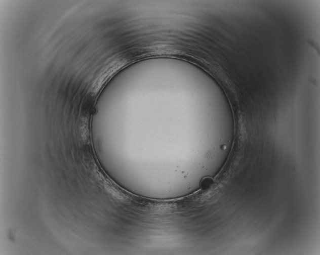 X0000103400889200809261617