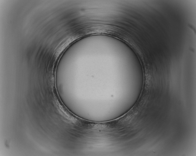 X0000103400890200809261617