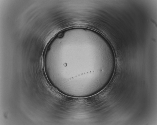 X0000103400891200809261617