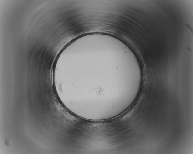 X0000103400892200809261617