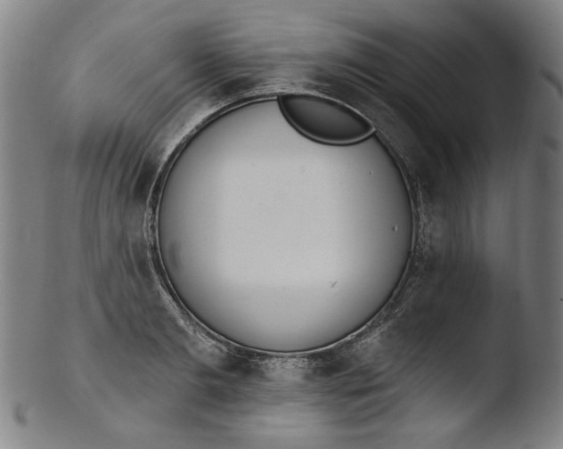 X0000103400893200809261617