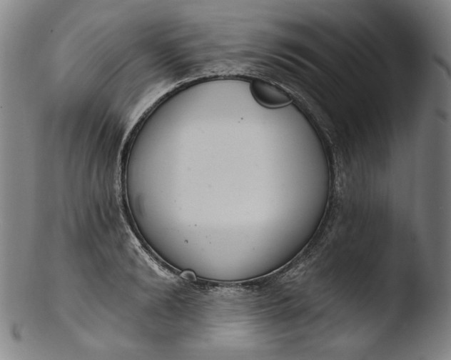 X0000103400894200809261617