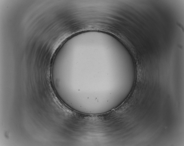 X0000103400896200809261617