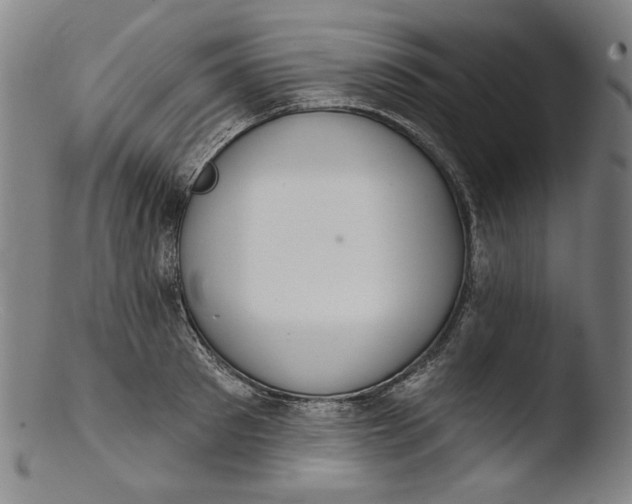 X0000103400897200809261617