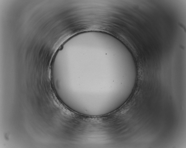 X0000103400900200809261617