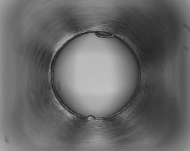 X0000103400902200809261617