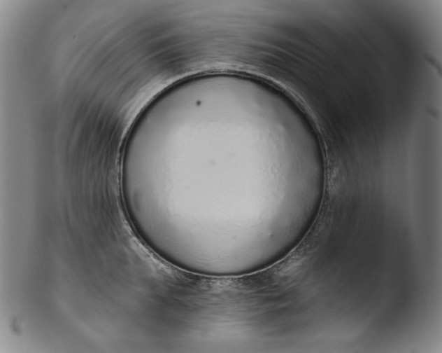 X0000103400903200809261617