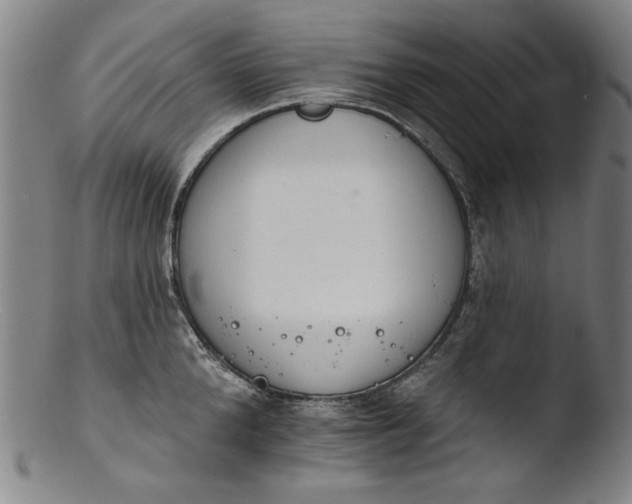 X0000103400904200809261616