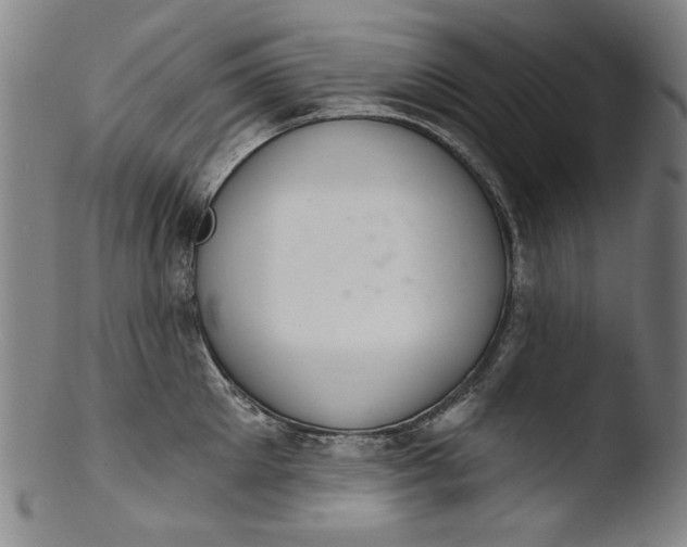 X0000103400905200809261616